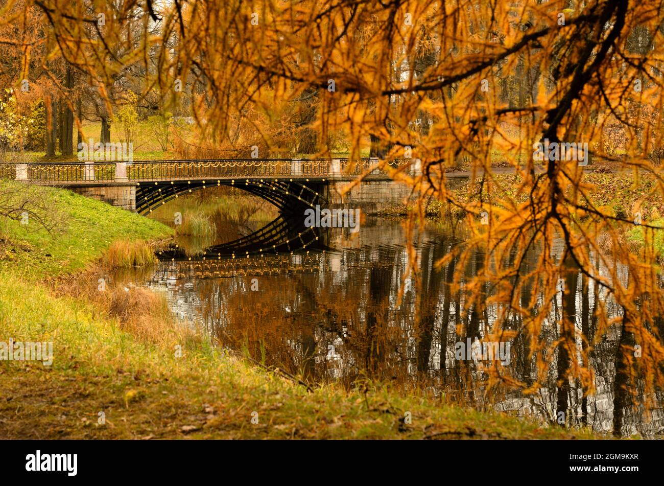 Paysage d'automne avec un vieux pont au-dessus d'un étang et une branche jaune d'un conifères Banque D'Images