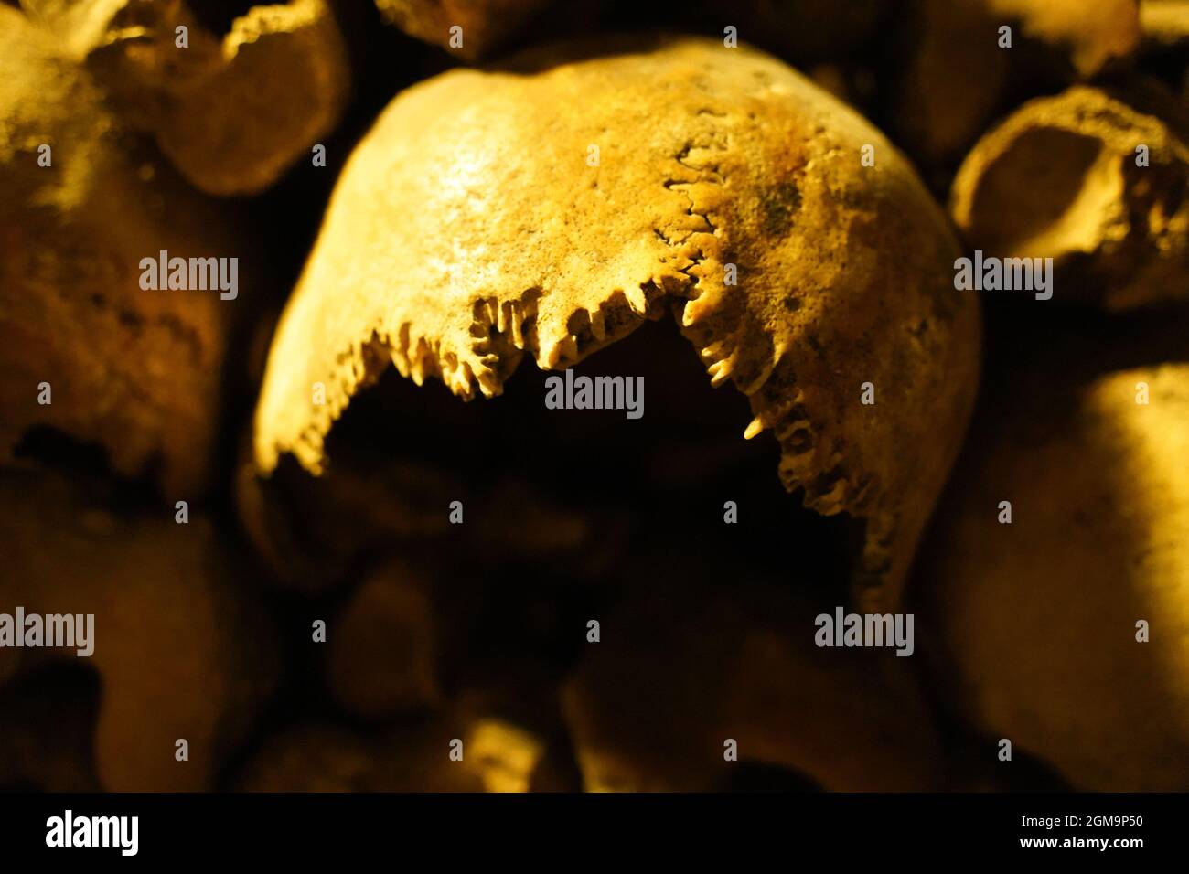 Cliché sélectif du crâne humain effrouant dans l'ossuaire souterrain Banque D'Images