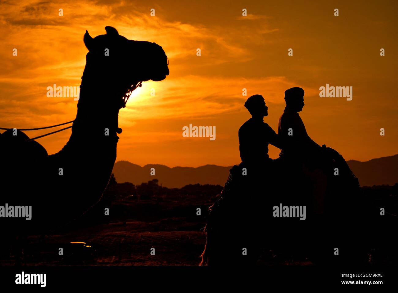 Tourisme indien pendant Camel Safari dans le désert de Pushkar, Rajasthan, Inde le 17 septembre 2021 . Photo de Himanshu Sharma/ABACAPRESS.COM Banque D'Images