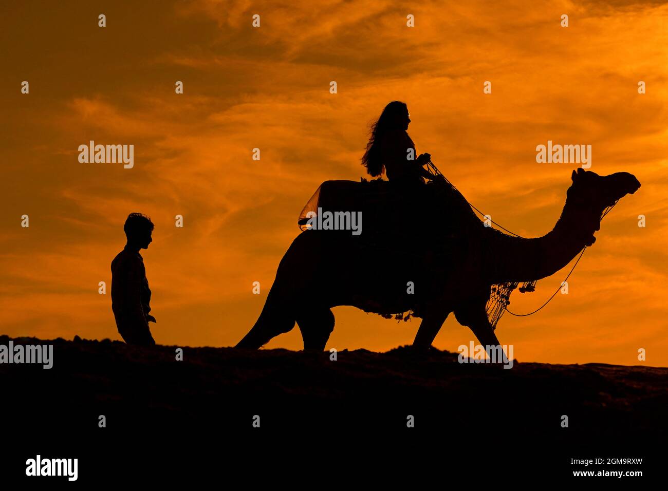 Tourisme indien pendant Camel Safari dans le désert de Pushkar, Rajasthan, Inde le 17 septembre 2021 . Photo de Himanshu Sharma/ABACAPRESS.COM Banque D'Images