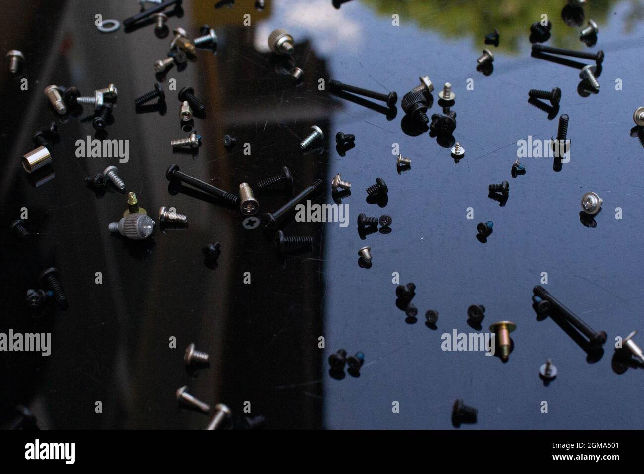 différents types de vis symbolisant les gens sont également différents. différentes races, formes et couleurs, mais à la fin, tout le monde est humain. Banque D'Images