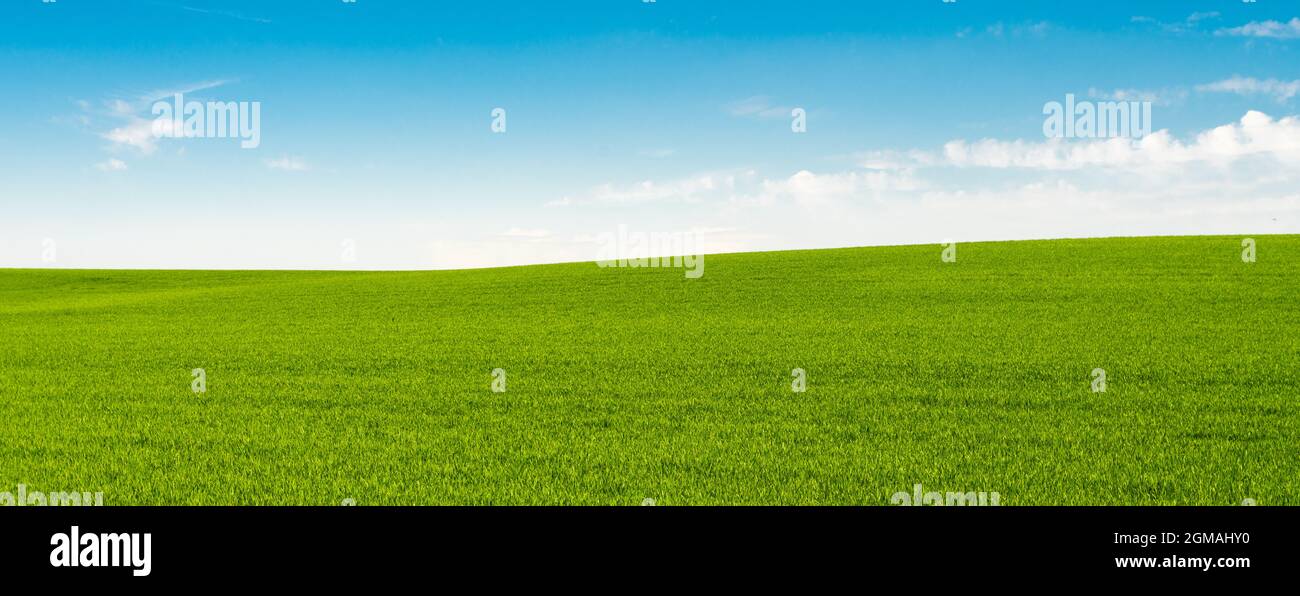 Prairies vertes avec ciel bleu et fond de nuages Banque D'Images