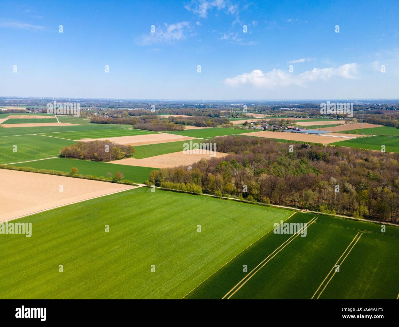 Vue aérienne des champs agricoles. Champs ci-dessus Banque D'Images
