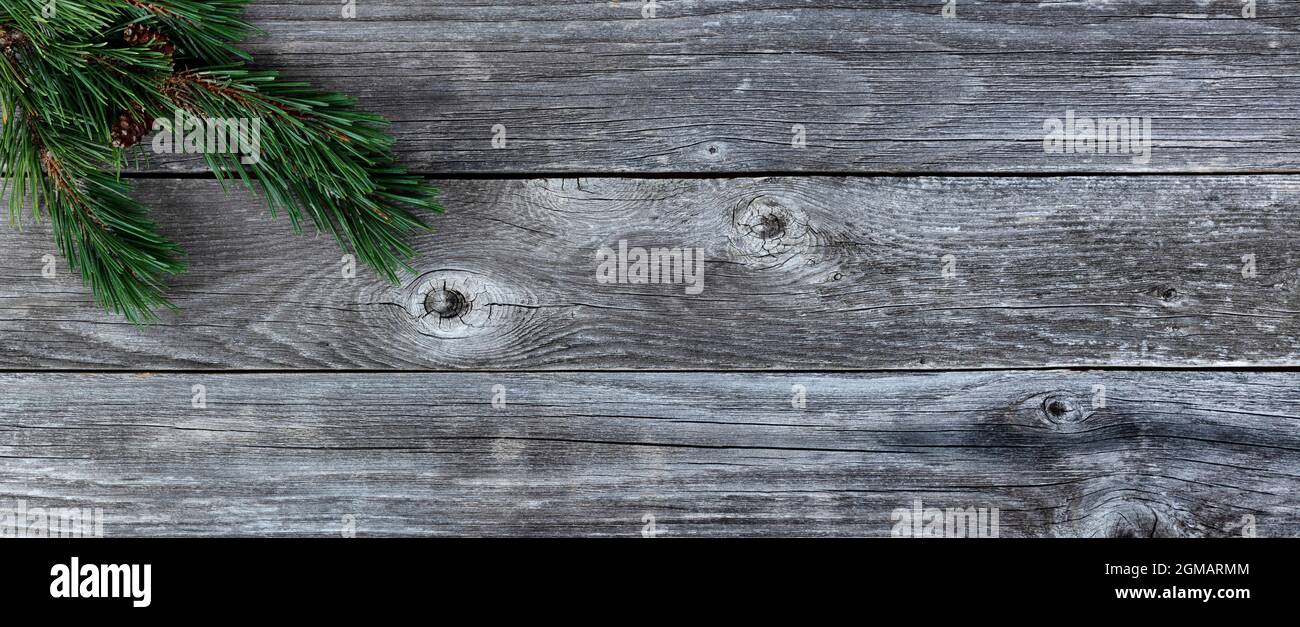 Véritable sapin branches sur fond rustique en bois de planche pour un joyeux Noël ou un joyeux concept de fête du nouvel an Banque D'Images