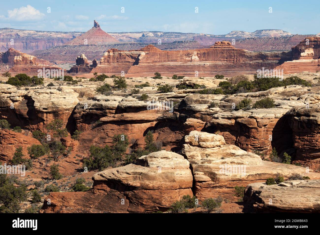 Grès Permian Cedar Mesa et strates de Trias-Jurassique sus-jacentes, parc national de Canyonlands, Utah du Sud-est. Peka punctu, un jeu de tir à six points du nord Banque D'Images