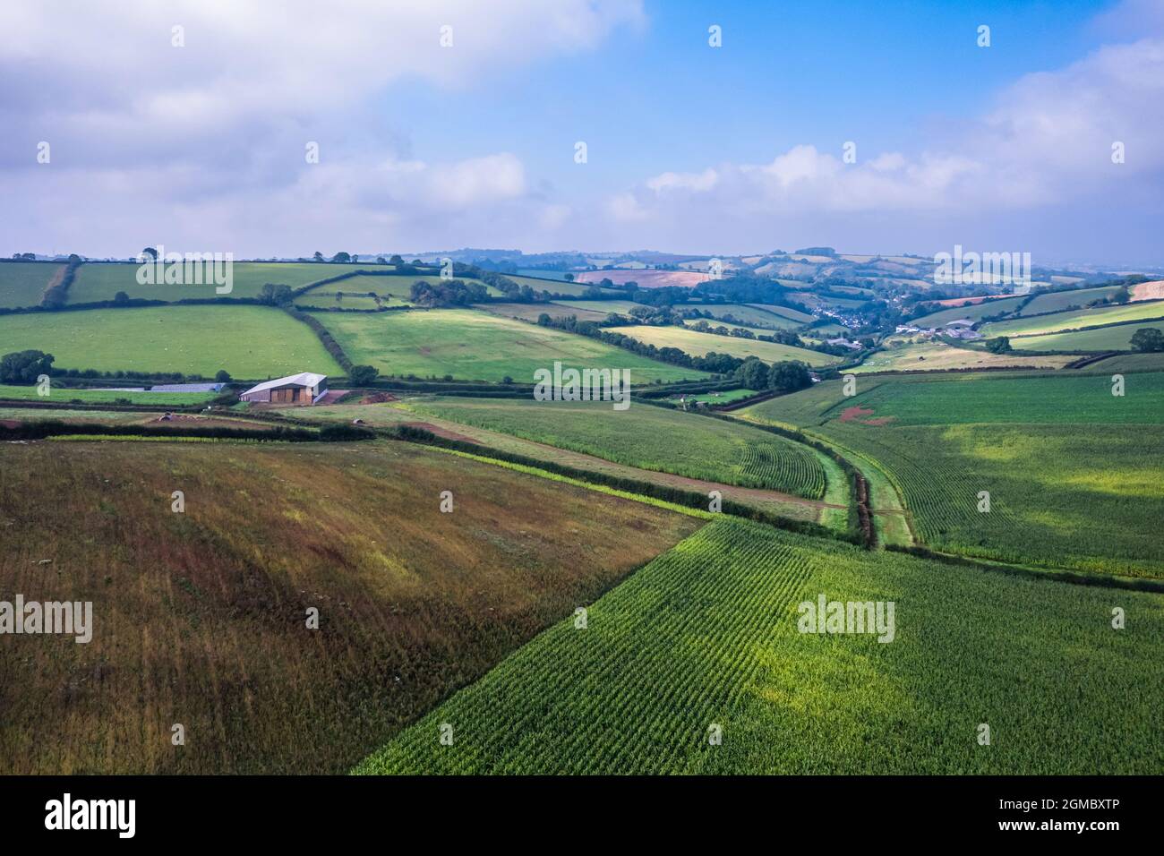 Photographie de drone, Fields and Meadows Over Torbay, Devon, Angleterre, Europe Banque D'Images