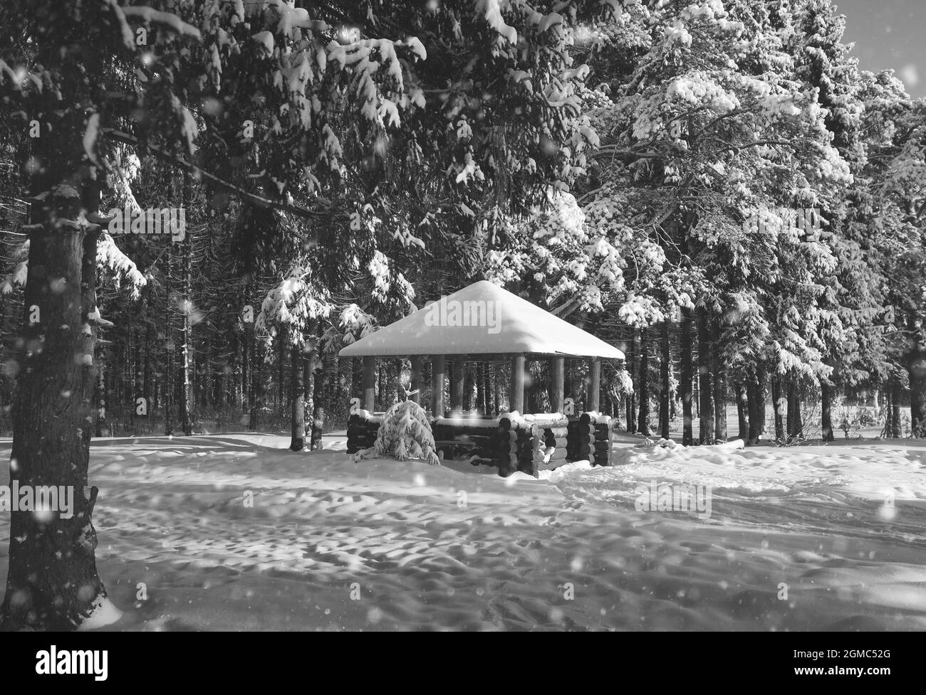 Gazebo en bois dans la forêt en hiver journée ensoleillée Banque D'Images