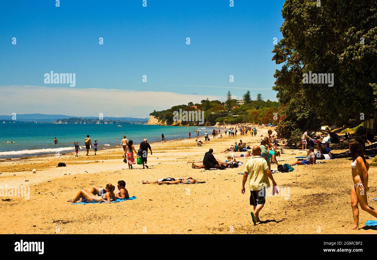 Plage de Takapuna Banque D'Images