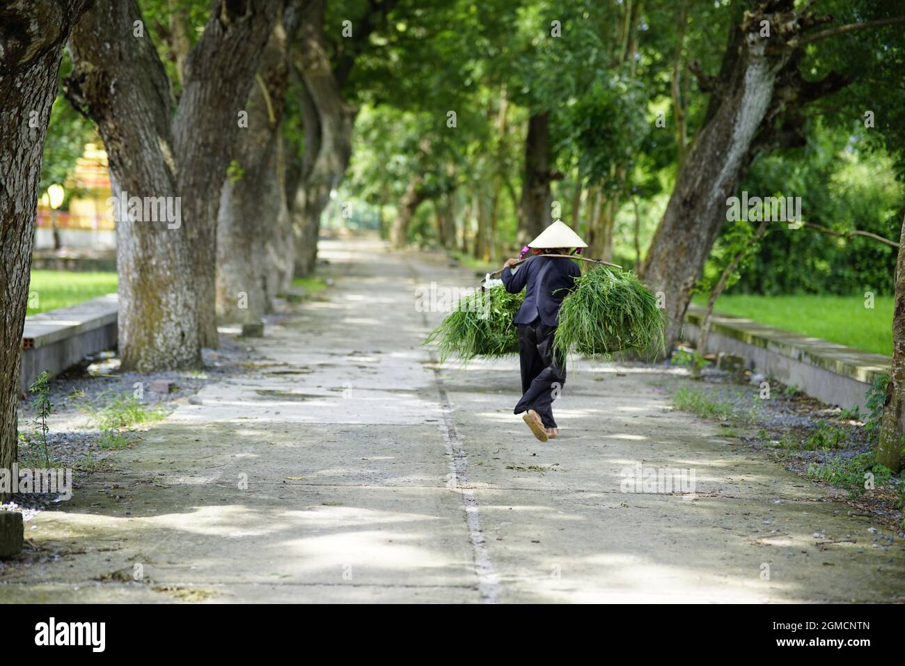 Beau paysage dans une province de Giang au sud du Vietnam Banque D'Images