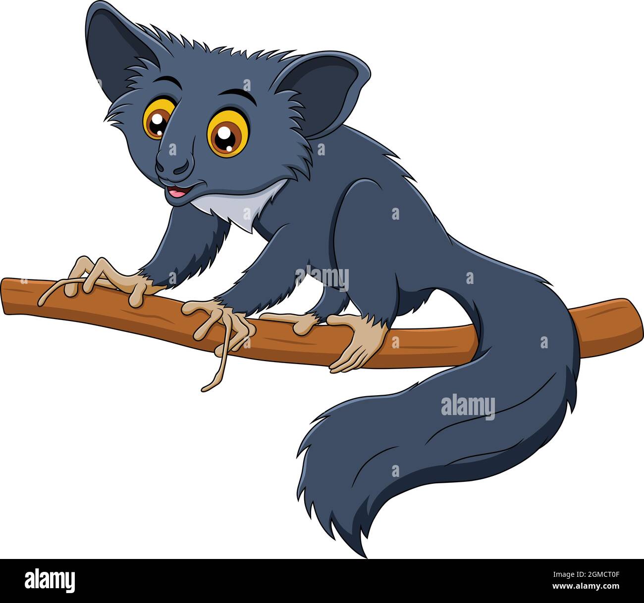 Illustration de vecteur de dessin animé animal mignon Aye-Aye Madagascar Illustration de Vecteur