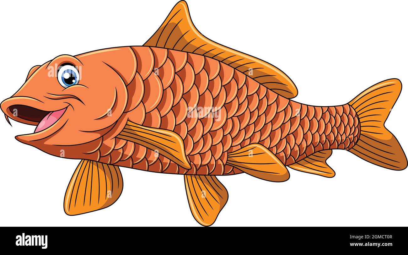 Illustration vectorielle de dessin animé mignon Carp Fish Illustration de Vecteur Illustration vectorielle de dessin animé mignon Carp Fish Illustration de Vecteur