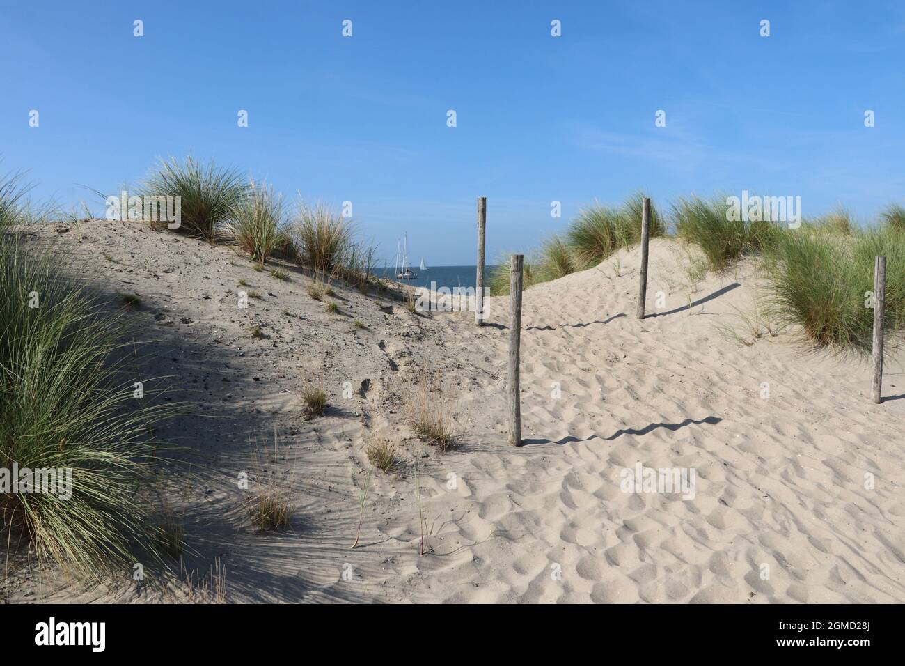 Dune de sable à la plage avec des voiliers sur Markermeer en arrière-plan, Marker Wadden, pays-Bas Banque D'Images