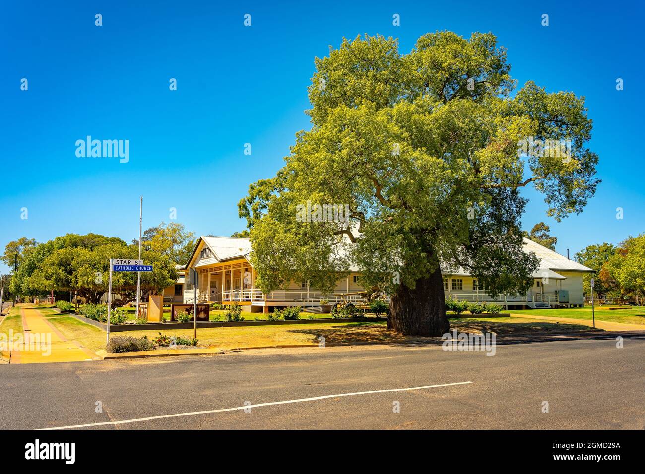 Tambo, Queensland, Australie - Grand arbre à bouteilles dans le centre-ville Banque D'Images