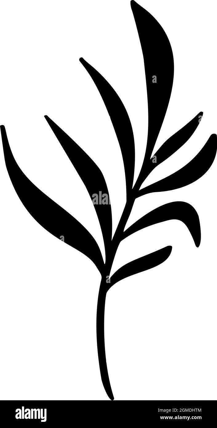 Illustration abstraite moderne du vecteur feuille de palmier. Silhouette noire et blanche. Illustration à la mode isolée exotique jungle contemporaine. Parfait pour le boho Illustration de Vecteur