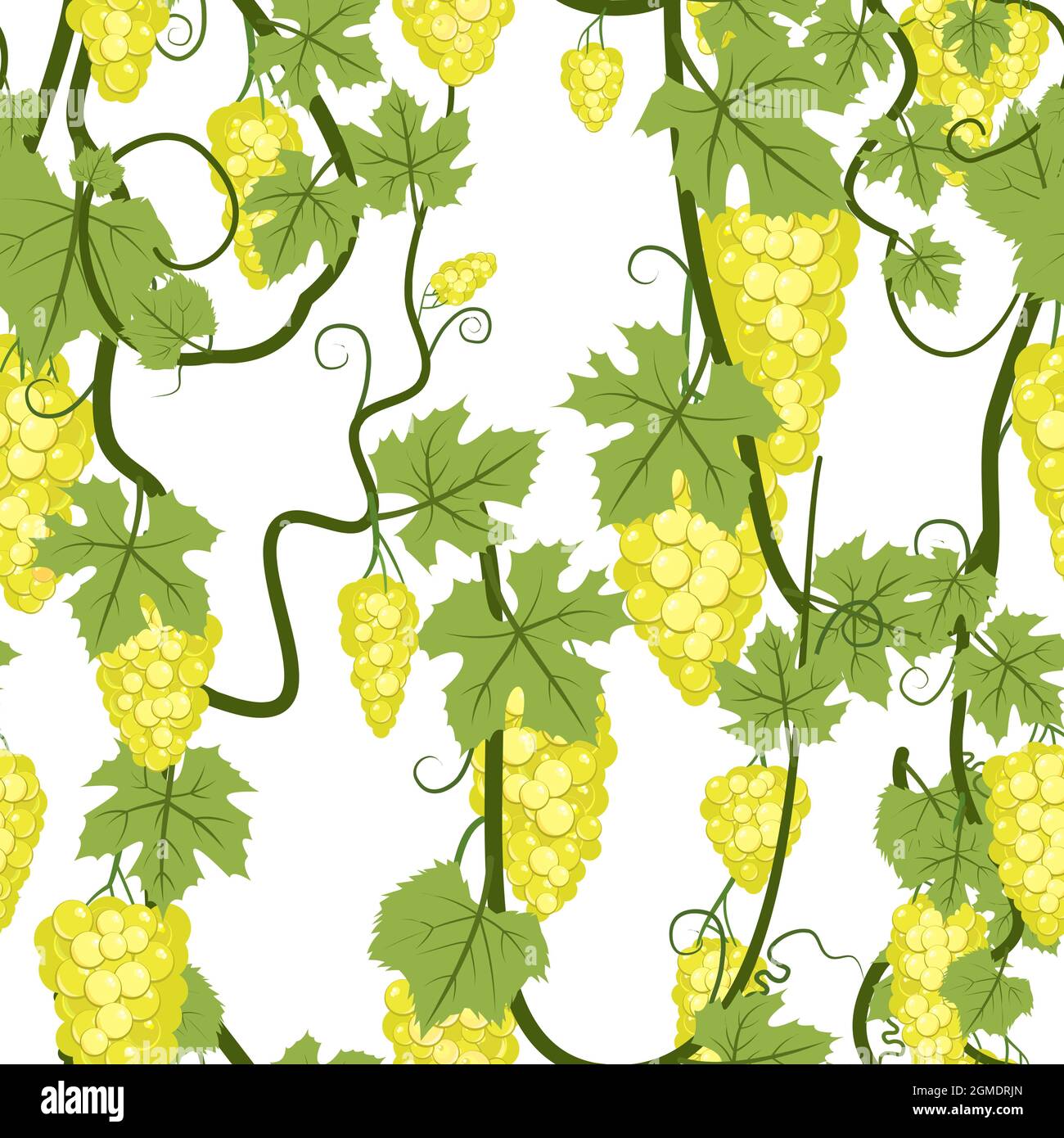 Grappes de raisins. Branches avec baies sur une brousse dense. Jeune vignoble. Douce récolte d'automne. Motif sans couture. Isolé sur fond blanc. Vecteur Illustration de Vecteur