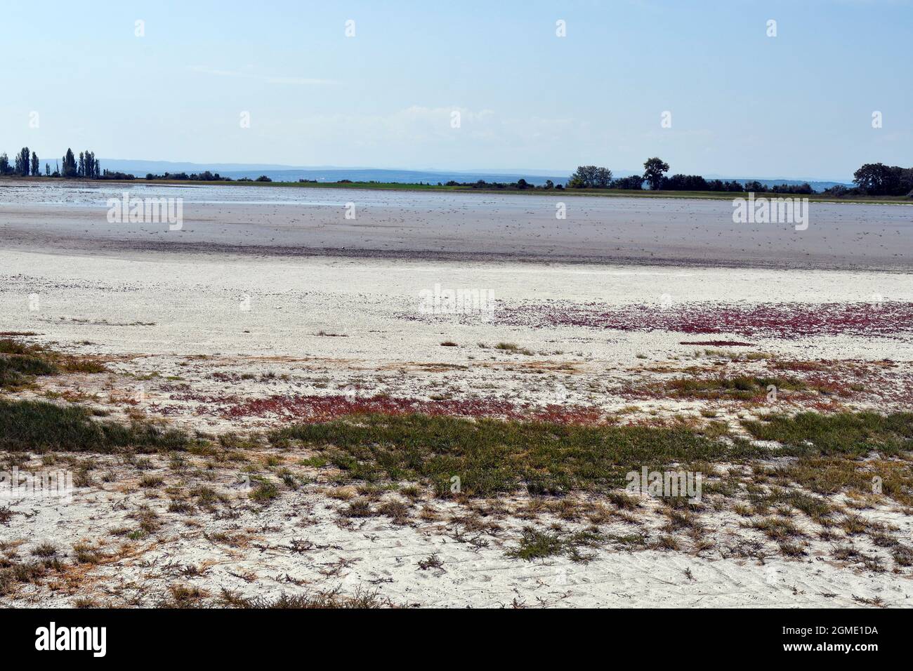 Autriche, parc national de Neusiedleree-Seewinkel au Burgenland dans les basses terres de Pannonian, destination d'excursion populaire avec paysage de steppe, zones humides, Banque D'Images