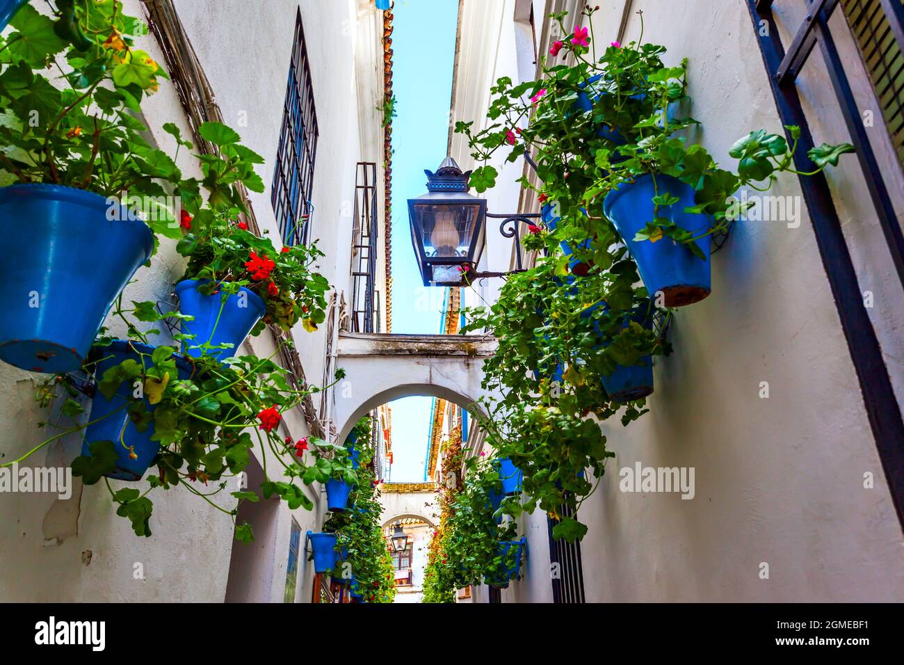 Allée (Calleja de las flores) dans la vieille ville de Cordoue décorée de pots de fleurs, Espagne Banque D'Images