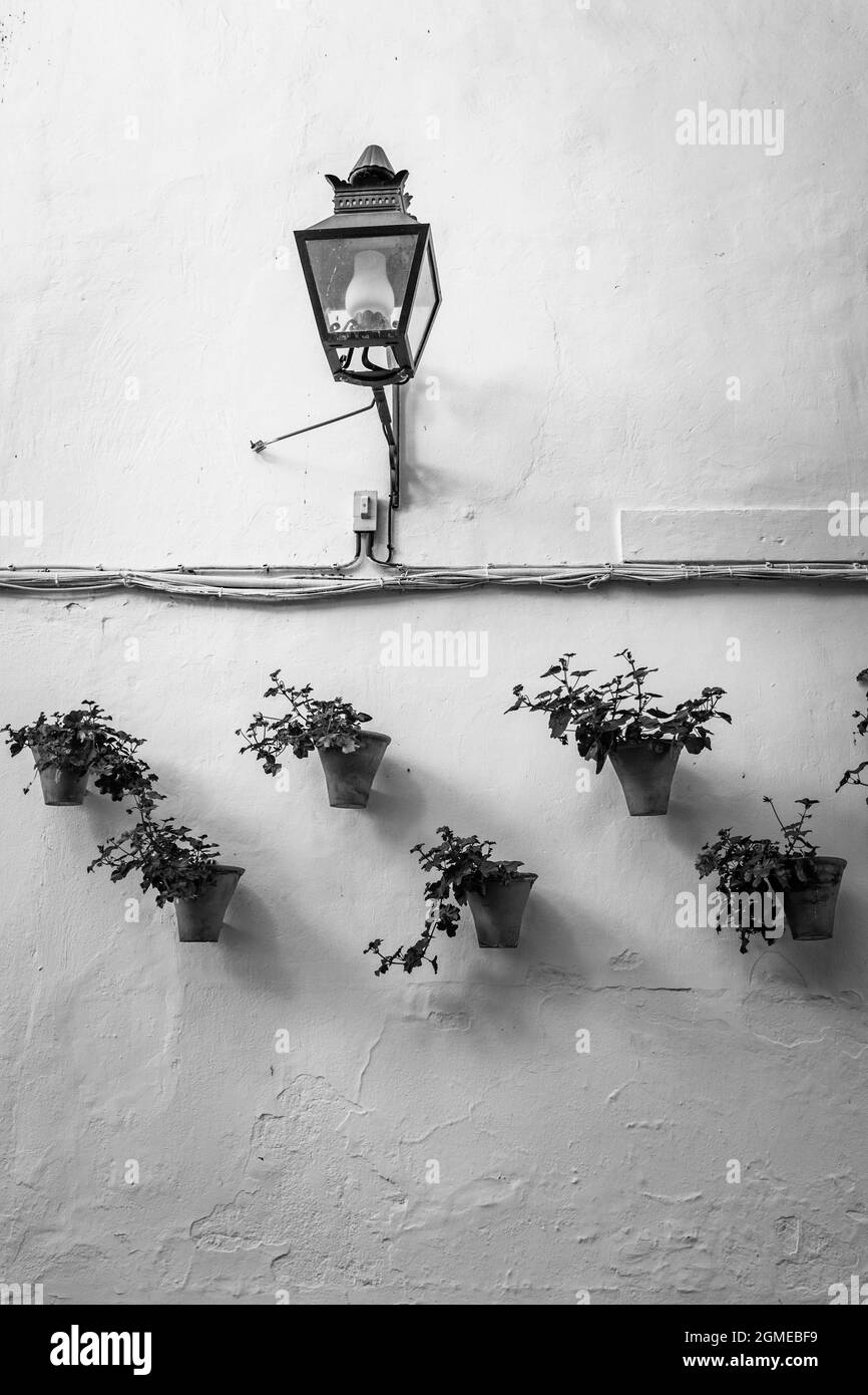 Pots de fleurs sur le mur de la maison à Cordoue, Espagne. Photographie en noir et blanc Banque D'Images
