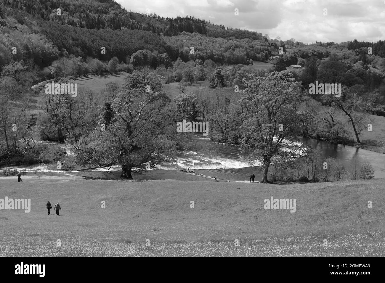 Chutes Horseshoe, Llangollen, pays de Galles Banque D'Images