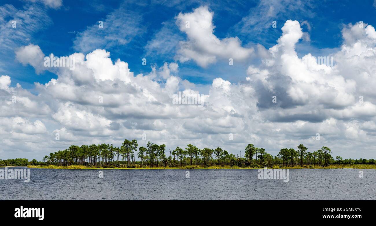 Lac Webb dans la zone de gestion de la faune de Babcok Webb à Punta Gorda, Floride, États-Unis Banque D'Images