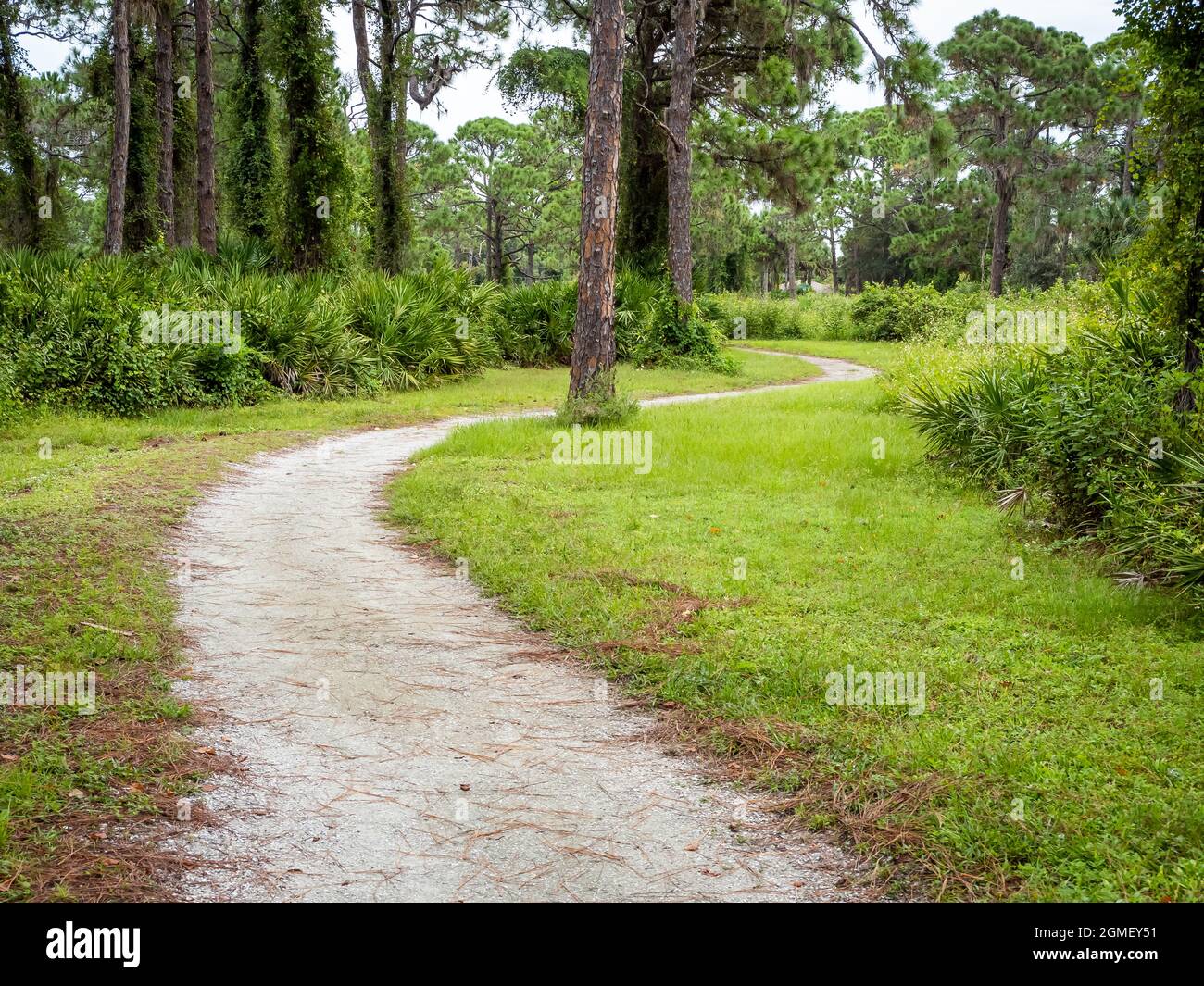 Sentier de randonnée dans le parc de Lemon Bay et le centre environnemental d'Englewood sur la côte du golfe de Floride, États-Unis Banque D'Images