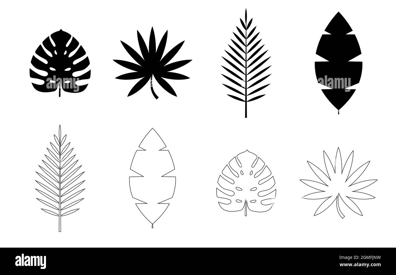 Palmier tropical, Monstera laisse icône isolée sur fond blanc. Ensemble d'éléments Natural Design. Illustration vectorielle EPS10 Illustration de Vecteur Palmier tropical, Monstera laisse icône isolée sur fond blanc. Ensemble d'éléments Natural Design. Illustration vectorielle EPS10 Illustration de Vecteur