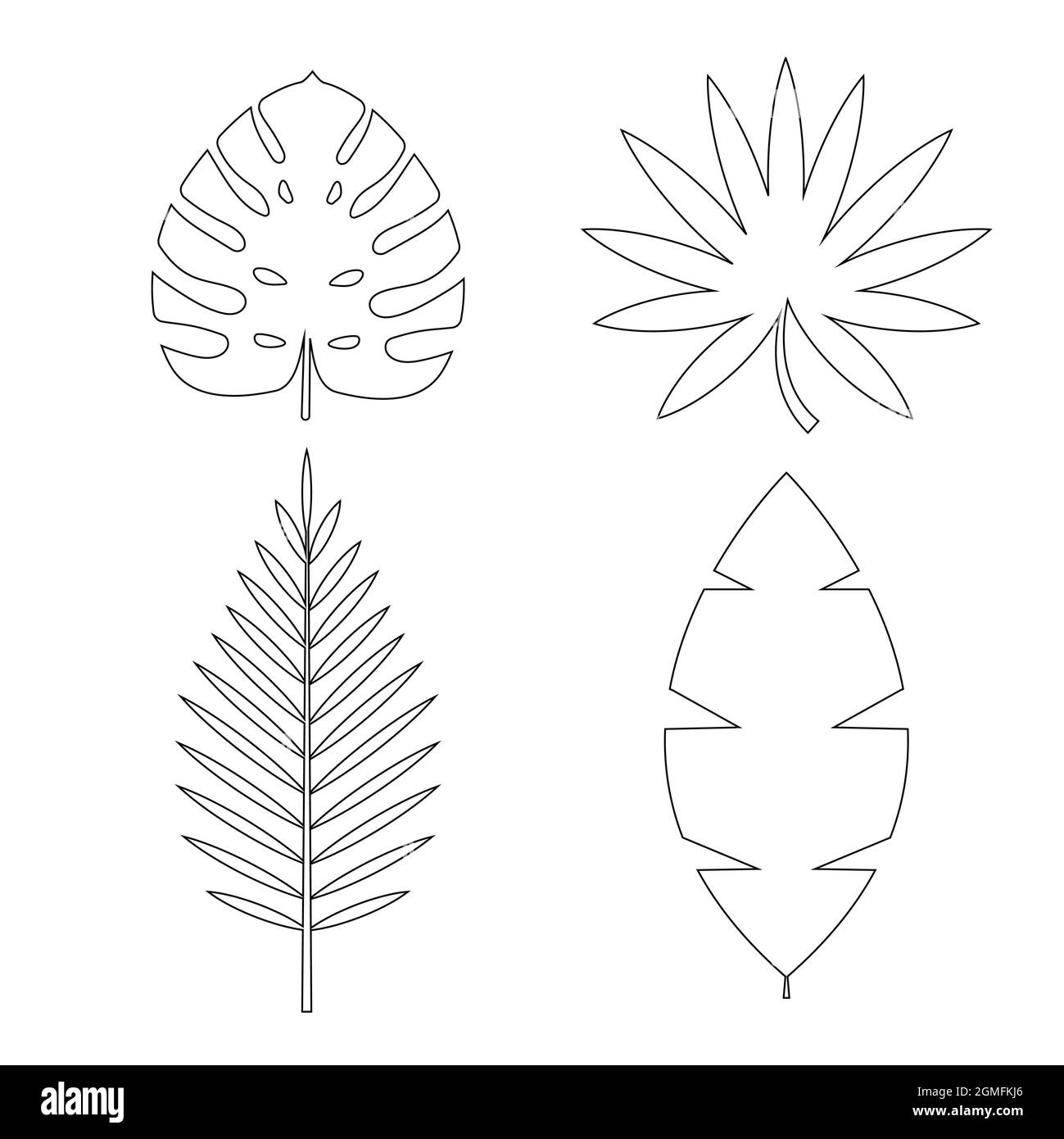 Palmier tropical, Monstera laisse icône isolée sur fond blanc. Ensemble d'éléments Natural Design. Illustration vectorielle EPS10 Illustration de Vecteur Palmier tropical, Monstera laisse icône isolée sur fond blanc. Ensemble d'éléments Natural Design. Illustration vectorielle EPS10 Illustration de Vecteur