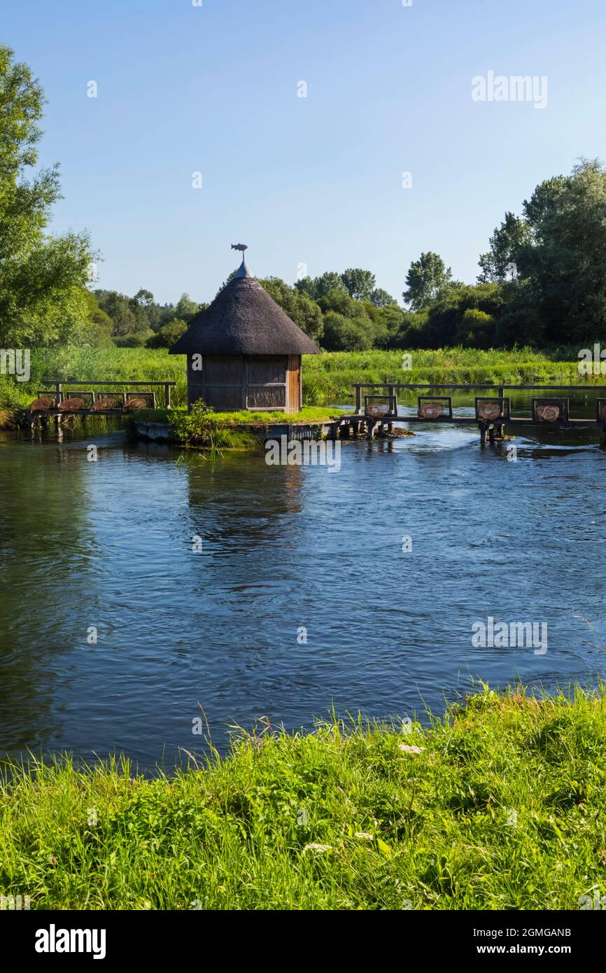 Angleterre, Hampshire, Test Valley, Stockbridge, Longstock, Domaine de Leckford, River Test et cabane traditionnelle de pêcheur de chaume Banque D'Images