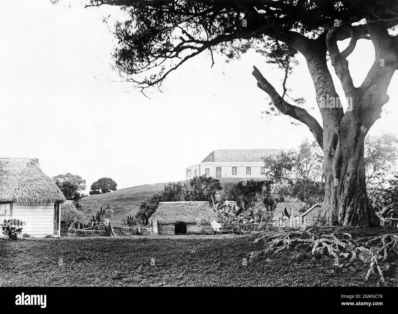 1885 photo de maisons sur l'île principale, Utu Vavaʻu, à Vava'u, un groupe de plus de 50 îles à Tonga, à environ 150 miles au nord de Tongatapu. Banque D'Images