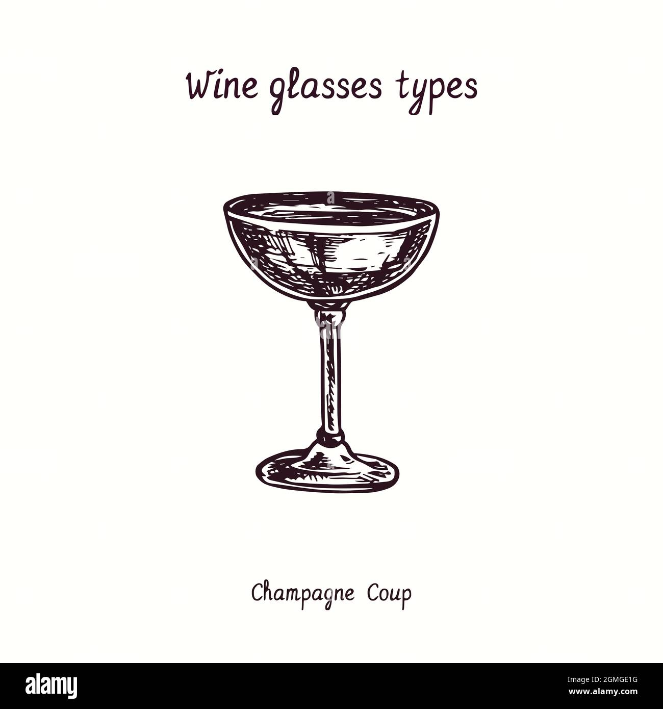 Collection types de verres à vin, champagne Coup. Dessin d'une boisée noire et blanche à l'encre. Banque D'Images