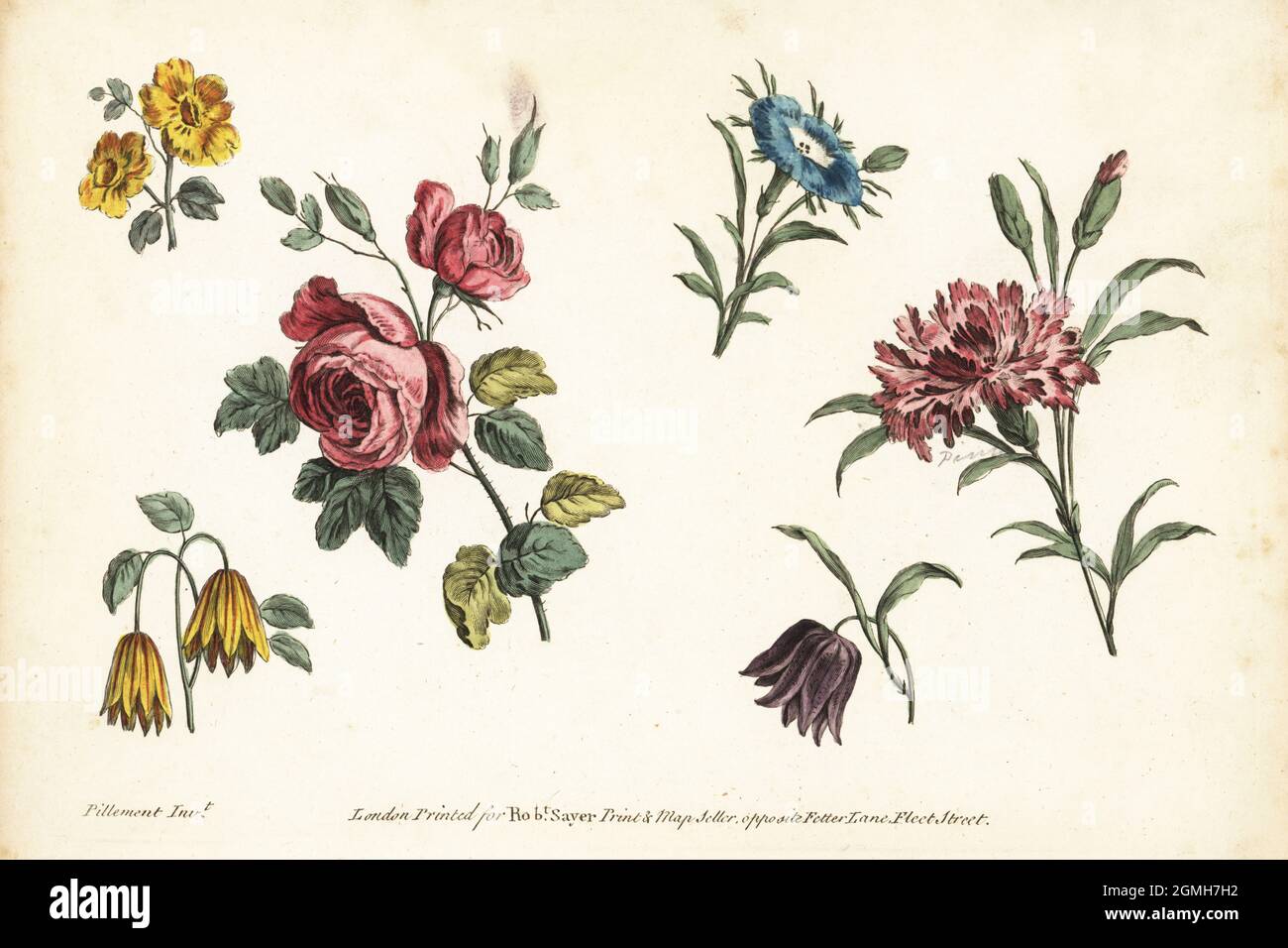 Roses, carnation, fritilly et autres fleurs. Spécimens d'art botanique pour le dessin et la coloration par des artistes amateurs, des peintres en porcelaine et en meubles. Gravure de copperplate de couleur main, d’après Jean-Baptiste Pillement, du Vade Mecum de l’artiste de Robert Sayer, The Artist’s The Whole Art of Drawing, Londres, 1766. Banque D'Images