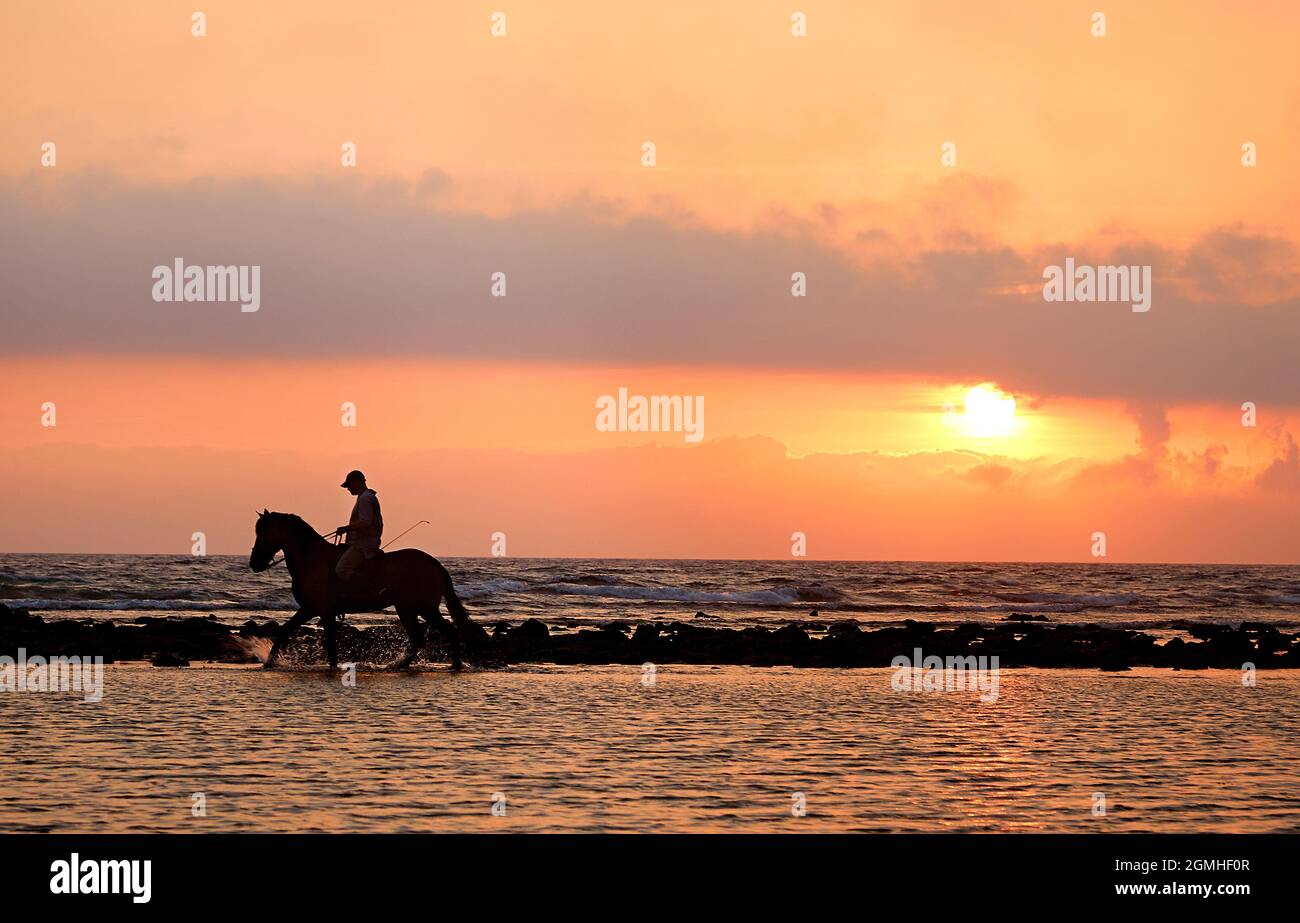 L'équitation au coucher du soleil Banque D'Images