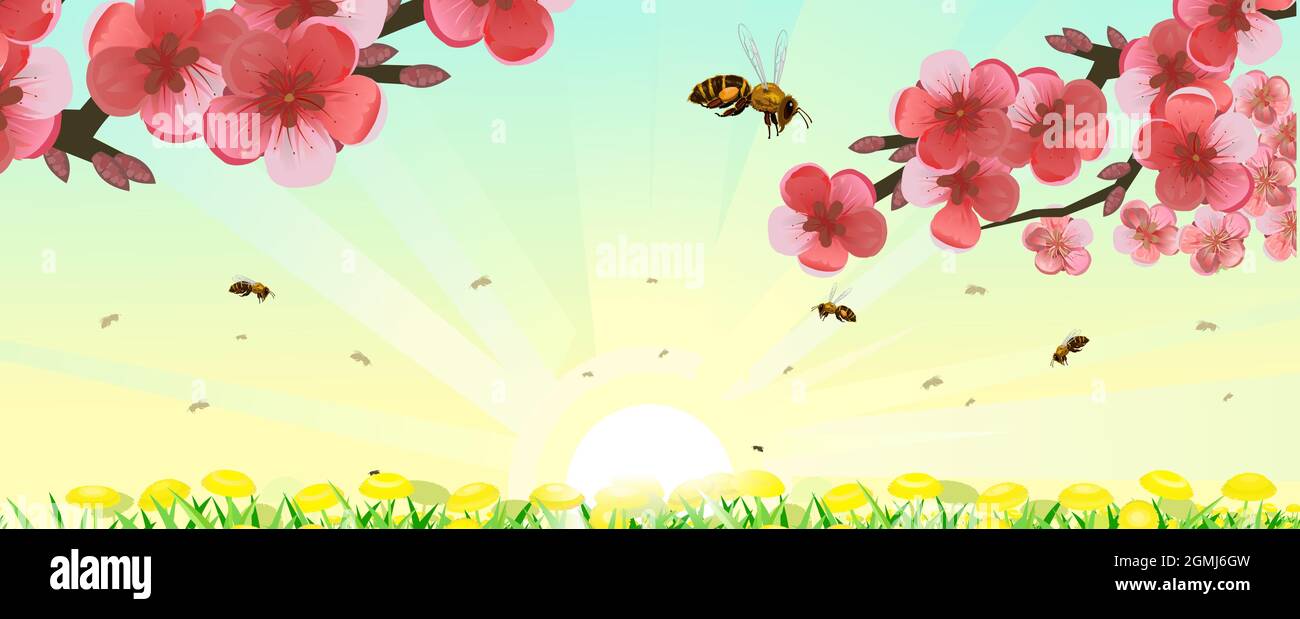 Prairie d'été avec pissenlits jaunes et branches fleuries d'arbres fruitiers. Les abeilles volent partout. Grand ciel clair. Vue rapprochée latérale. Campagne mignon herbacé Illustration de Vecteur