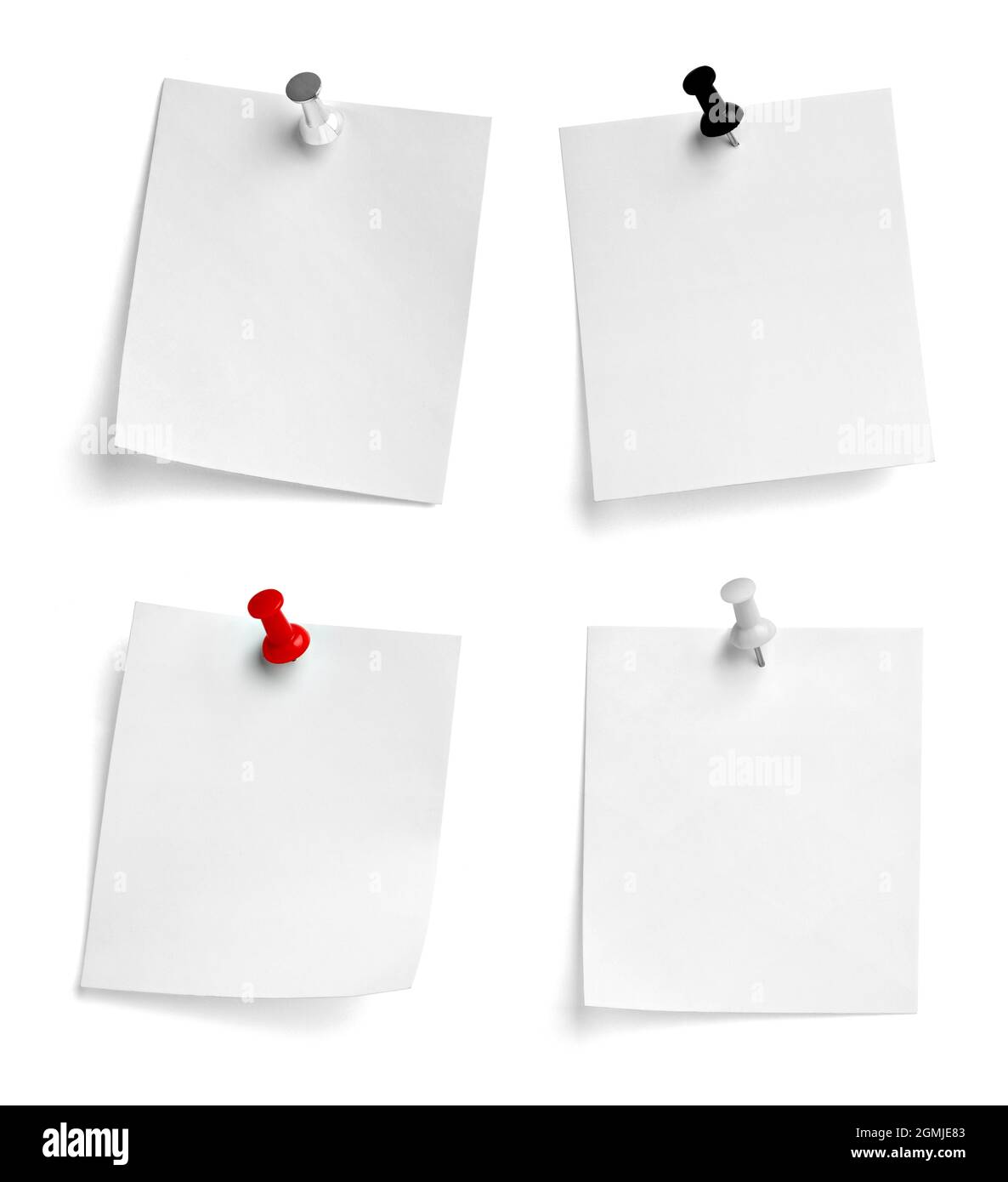 notez le message « punaise » sur papier rouge blanc noir Banque D'Images