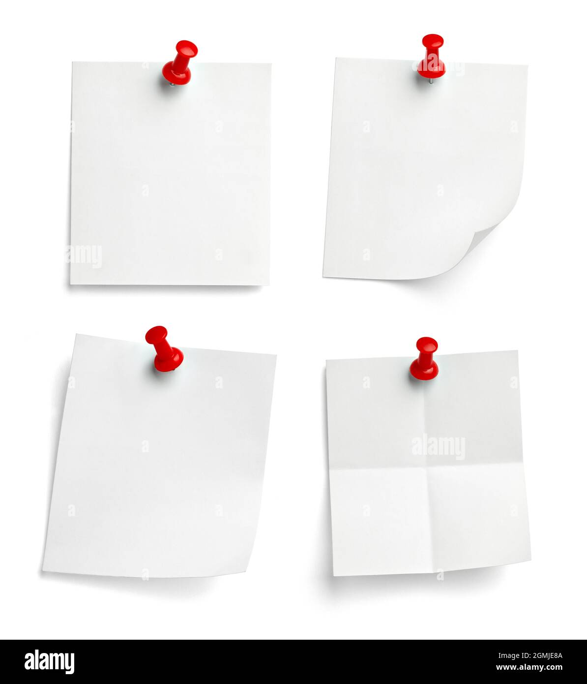 notez le message « punaise » sur papier rouge blanc noir Banque D'Images