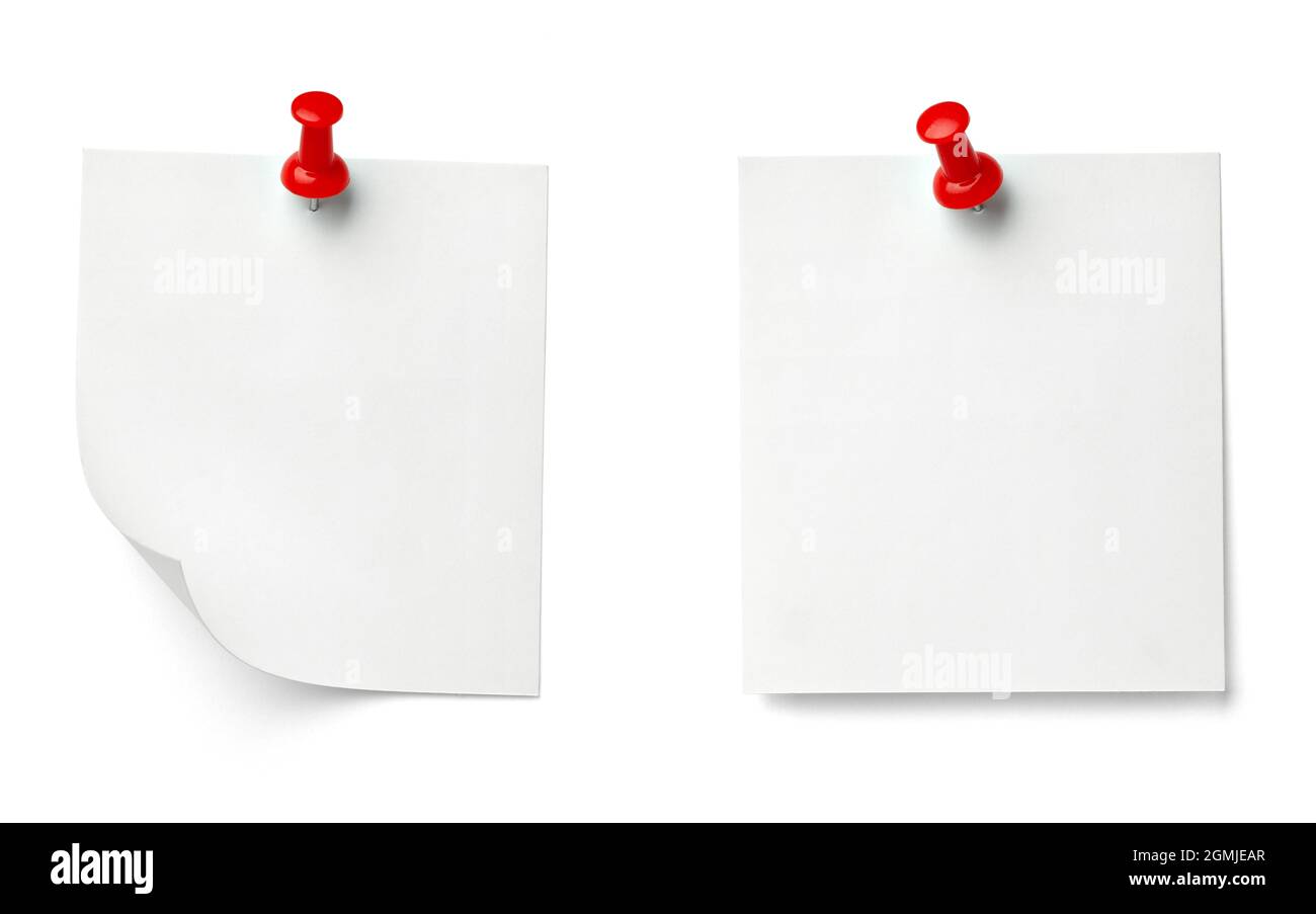 notez le message « punaise » sur papier rouge blanc noir Banque D'Images