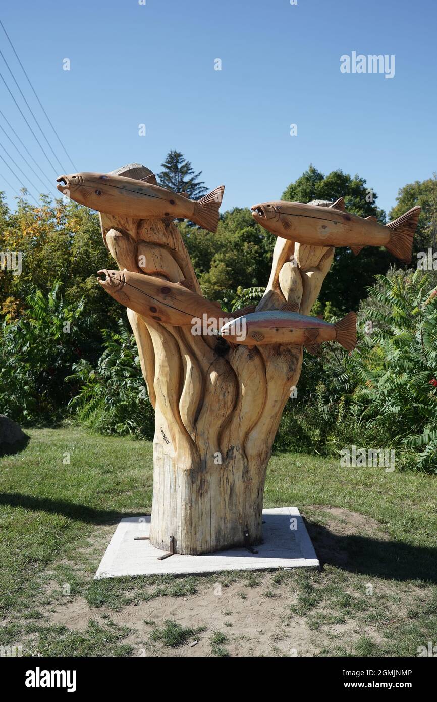 Sculpture extérieure de poisson Thornbury Ontario Canada Banque D'Images