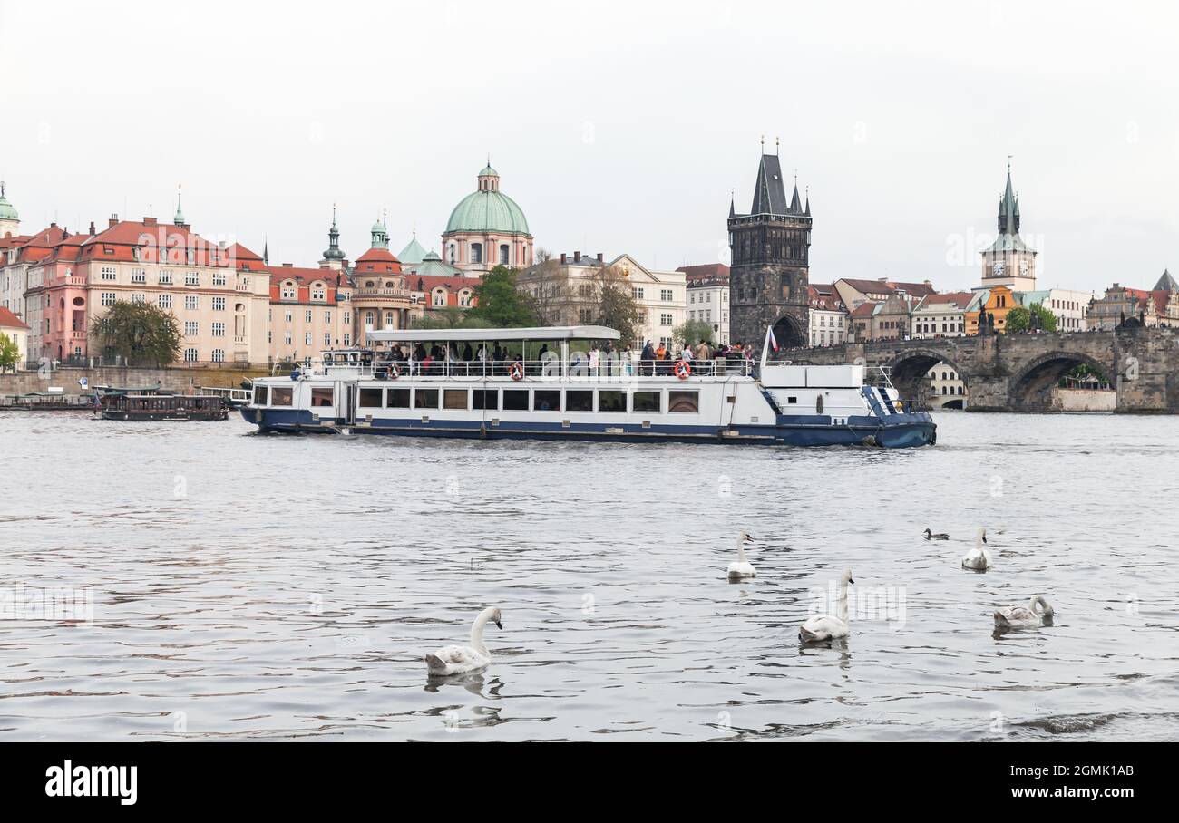 Des cygnes et des bateaux touristiques se trouvent sur la Vltava. Prague, République tchèque Banque D'Images