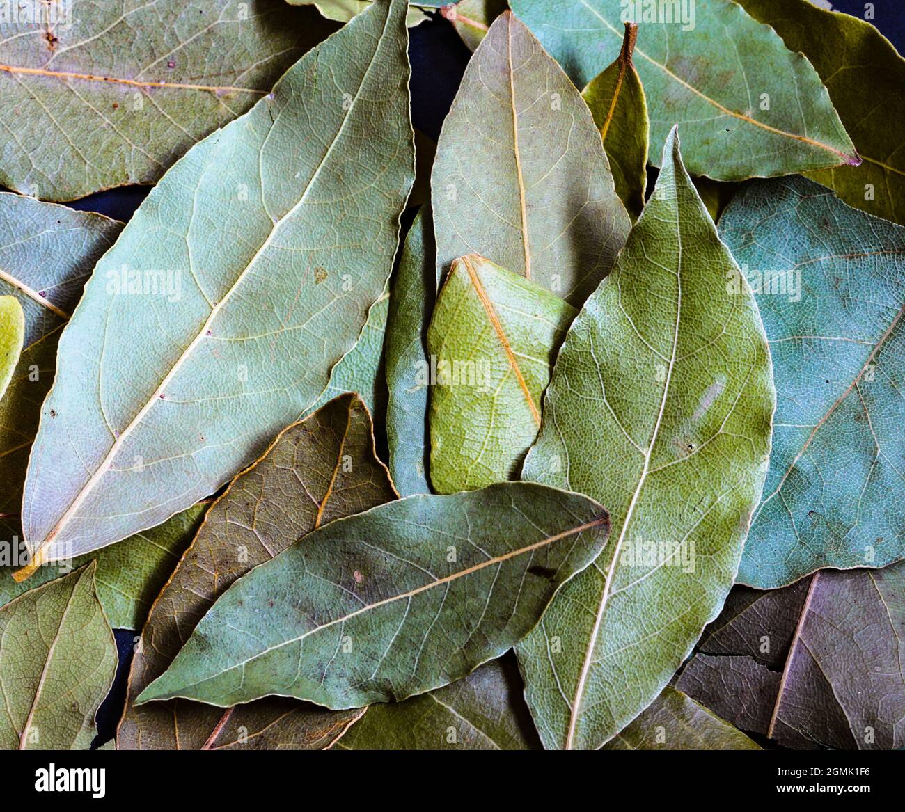 Baie verte séchée avec fond texturé. Fond de texture des feuilles de baie séchées aromatiques Banque D'Images