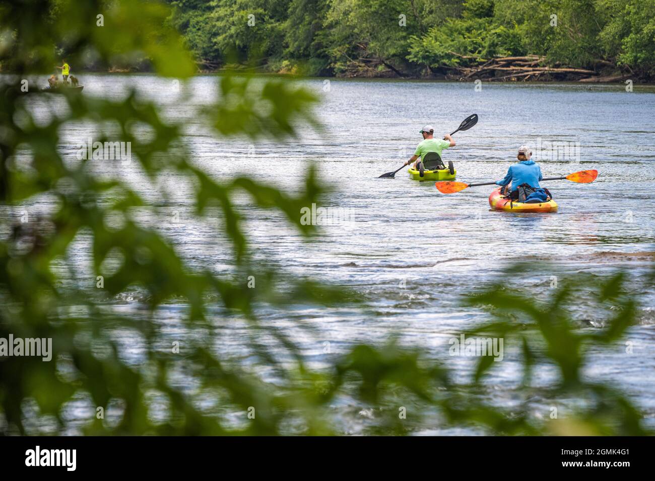 Couple de kayaks pagayants sur la rivière Chattahoochee le long de l'unité Island Ford de l'aire de loisirs nationale de la rivière Chattahoochee près d'Atlanta, GA. Banque D'Images