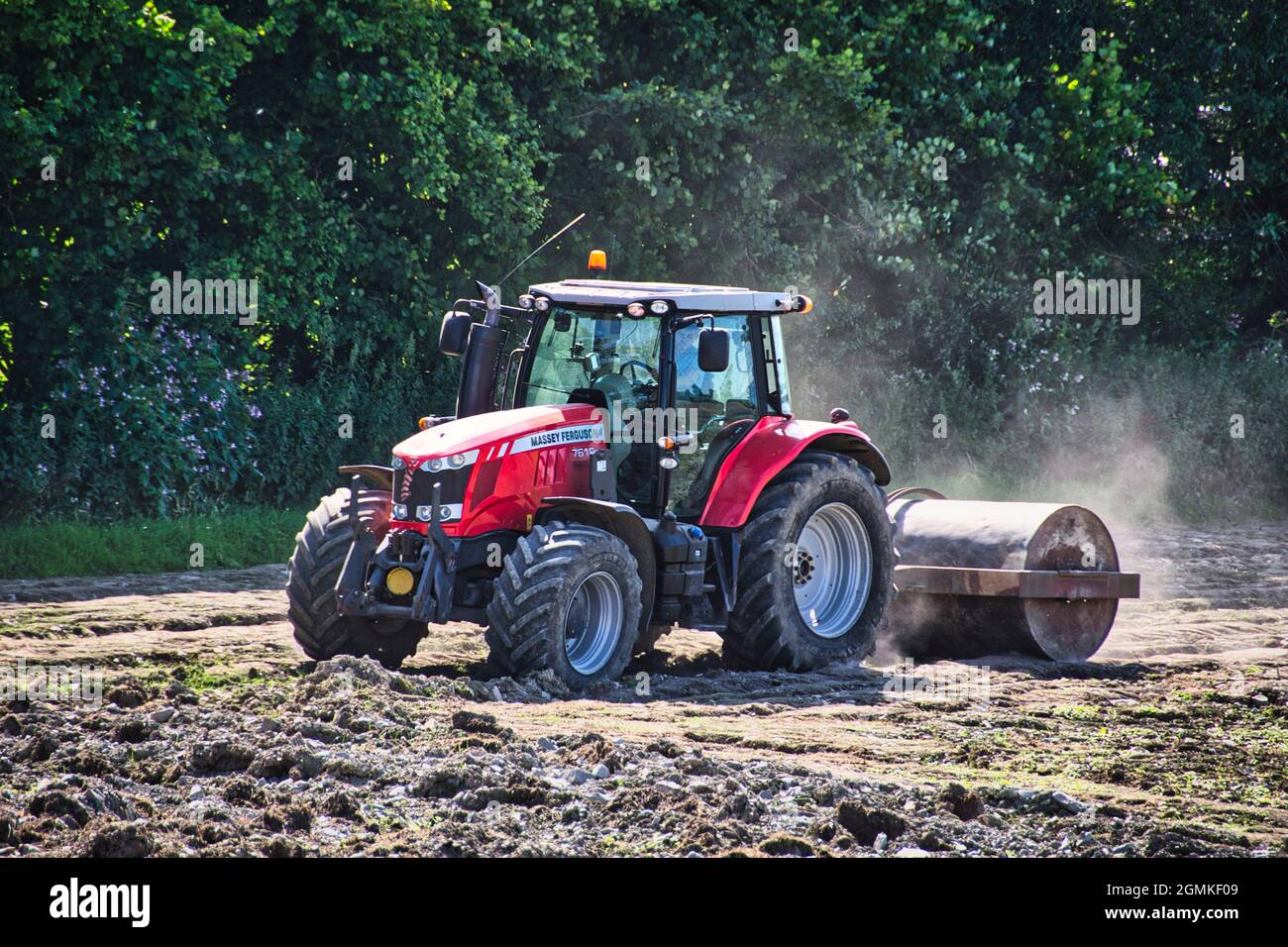Tracteur Massey Ferguson préparant le terrain pour l'hiver. Fabricant américain de machines agricoles. Banque D'Images