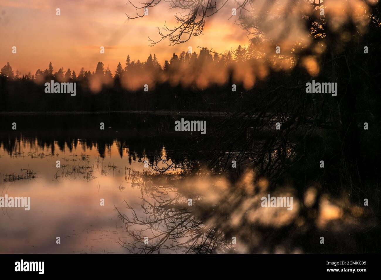 Coucher de soleil sur le lac Itasca, amont du fleuve Mississippi, nord du Minnesota, États-Unis Banque D'Images