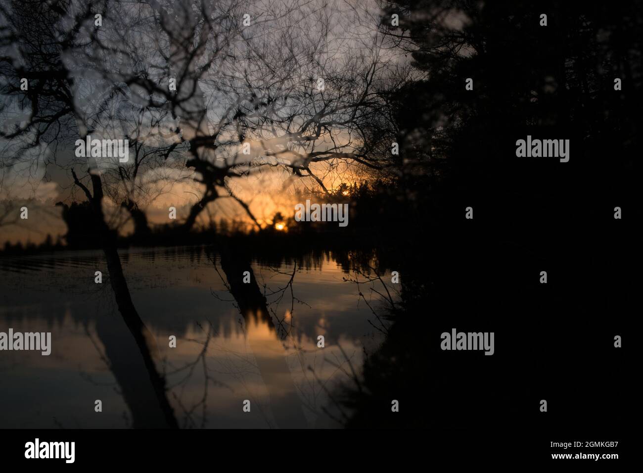 Coucher de soleil sur le lac Itasca, amont du fleuve Mississippi, nord du Minnesota, États-Unis Banque D'Images