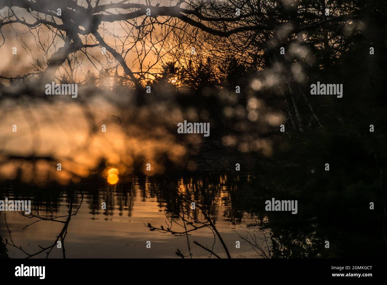 Coucher de soleil sur le lac Itasca, amont du fleuve Mississippi, nord du Minnesota, États-Unis Banque D'Images