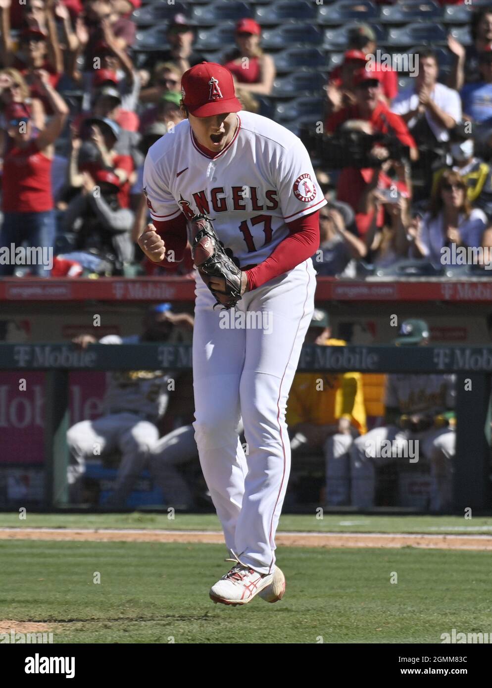 Anaheim, États-Unis. 19 septembre 2021. Le lanceur d'Anaheim Angels Shohei Ohtani célèbre après avoir sorti Matt Chapman d'Oakland Athletics pour terminer le huitième repas au Angel Stadium d'Anaheim à Anaheim, Californie, le dimanche 19 septembre 2021. Ohtani a frappé 10, mais est allé sans vin dans les débuts consécutifs que les Anges perdent à l'Oakland Athletics dans la série finale dimanche 3-2. Photo de Jim Ruymen/UPI crédit: UPI/Alay Live News Banque D'Images