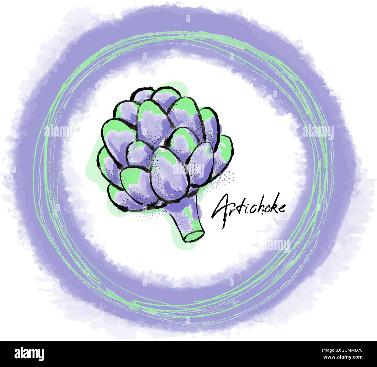 Aquarelle dessin à la main d'artichaut vert et violet dans le tableau rond. SPE 10. Illustration de Vecteur