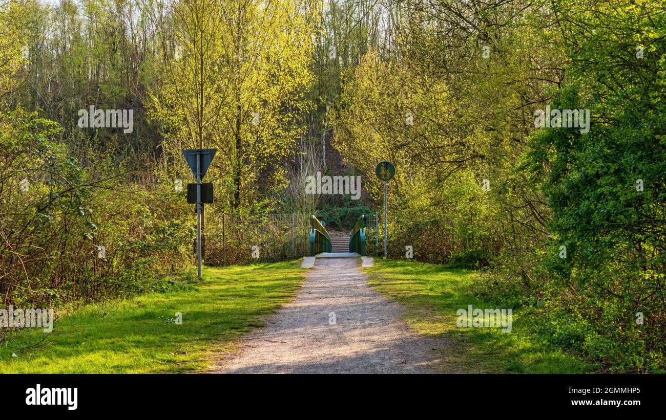 Passerelle au-dessus de la Schwarzbach à Gelsenkirchen-Feldmark, région de la Ruhr, Rhénanie-du-Nord-Westphalie, Allemagne Banque D'Images