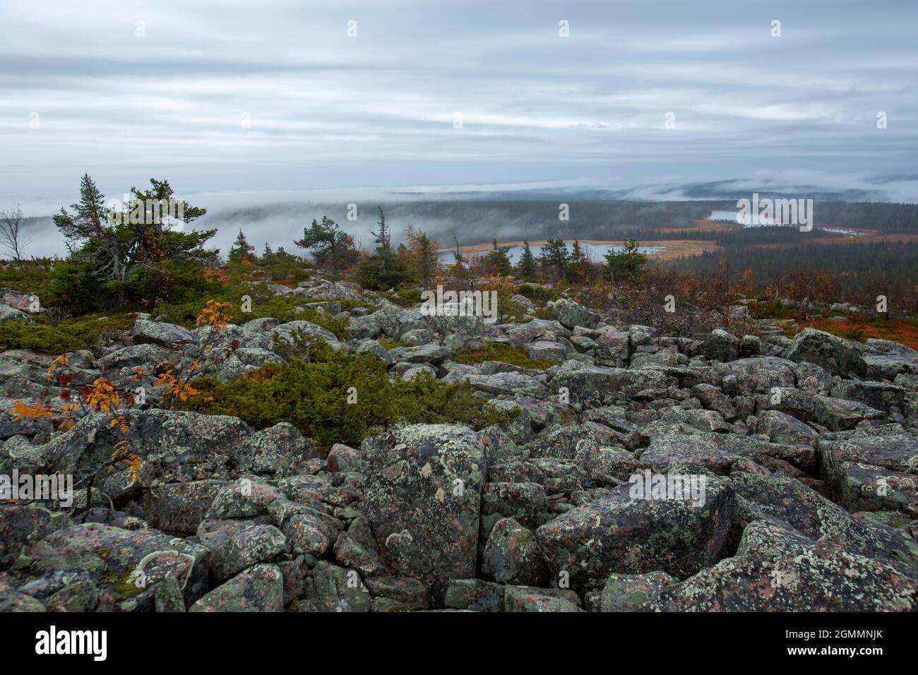 Paysage brumeux et pierreux de Sallatunturi, Sallatunturi, Salla, Finlande, Europe du Nord Banque D'Images