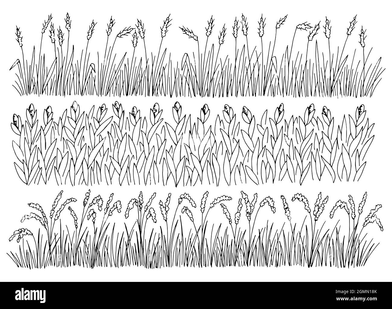 Graphique de jeu de champs noir blanc paysage illustration vecteur Illustration de Vecteur