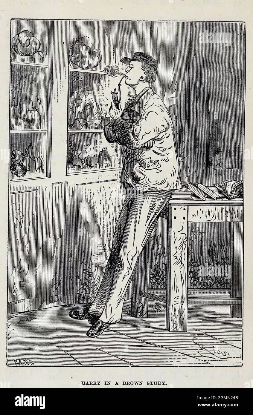 Harry in the Brown Study de Jules Verne (1828-1905) publié à New York par Scribner, Armstrong & co 1874 Banque D'Images